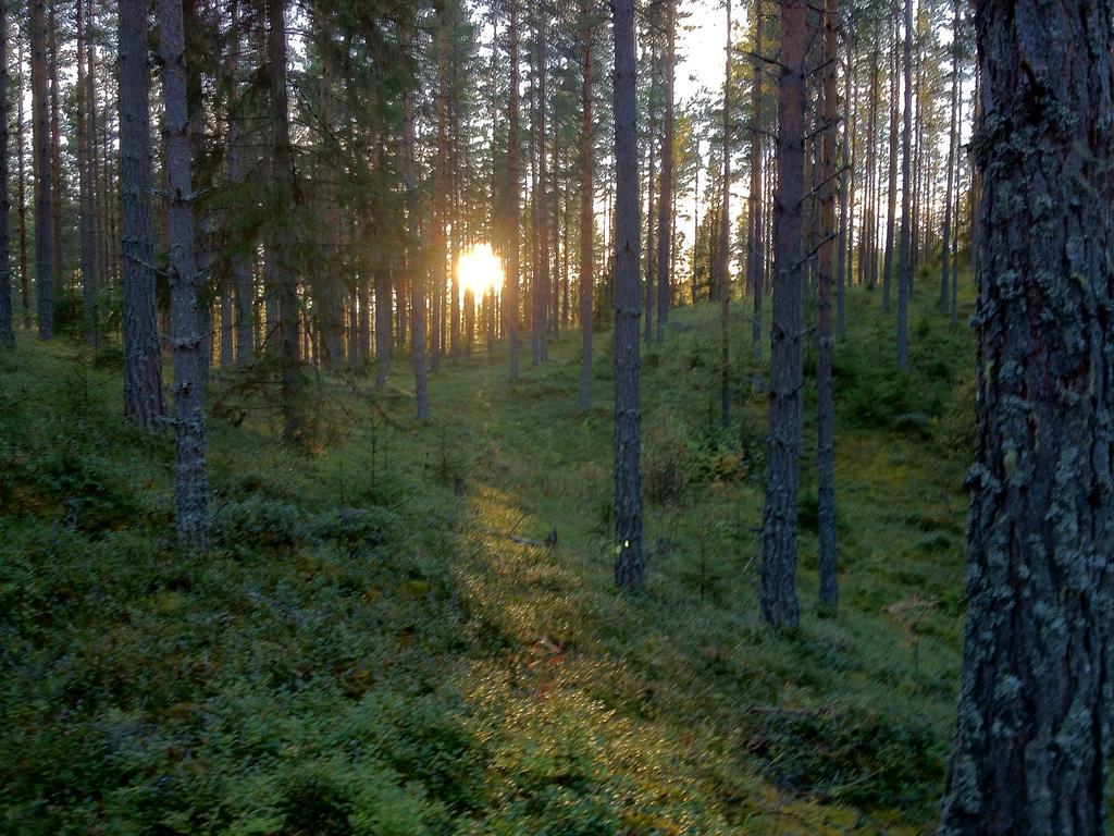 Rustika Strandstugor Utanfoer Raettvik エクステリア 写真